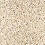 60873-graines-sesame-blanc